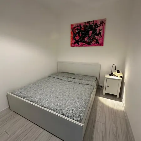 Apartment Luna Rosa Pisa